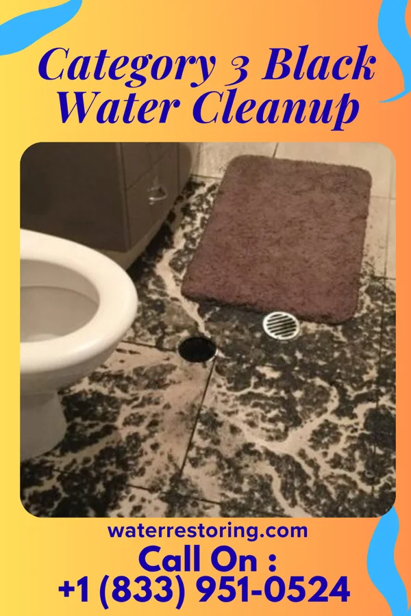 Category 3 Black Water Cleanup in Mooresville, NC